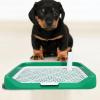 INOOMP Dog Toilet with Easy-Cleaning System and Removable Plastic Parts for Indoor House Training view 4