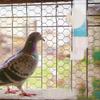 Parrot Waterer 250 ml PVC White for Pigeons and Budgerigars view 4