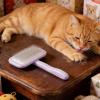 Portable Cat Brush with Soft Bristles view 4