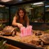 Portable Reptile Humidifier with Plant Imitation view 2