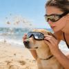 Dog Sunglasses - Windproof and Fog-Free Eye Protection view 3