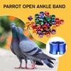 Bird Leg Bands, Aluminum Alloy, Identification Rings with Laser-Engraved Random Numbers, Colorful Split Open Foot Clips for Parrots, Finches, and Pigeons, 10 pcs (6.0) view 3