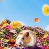 Bedding for Small Pets, 100g view 4