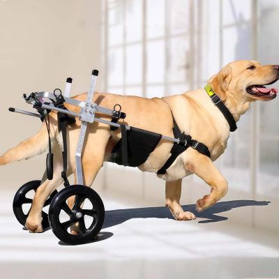 Adjustable Dog Wheelchair for Hind-Leg Mobility, Lightweight Pet Cart