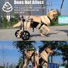 Adjustable Dog Wheelchair for Hind-Leg Mobility, Lightweight Pet Cart view 4