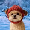 Knitted Soft Cat Hat with Ear Holes view 2