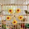Wooden Spinning Toy for Birds view 2