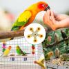 Wooden Spinning Toy for Birds view 4