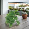 Hanging Plastic Reptile Plant, Green, for Terrariums and Enclosures view 4
