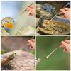 Toyvian 3-Piece Stainless Steel Reptile Feeding Spoon Set view 4