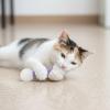 Giant Catnip Kick Toy view 4
