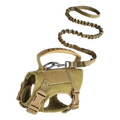 Cat Harness with Leash, Quick Release & Escape Prevention