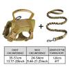 Cat Harness with Leash, Quick Release & Escape Prevention view 2