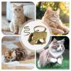 Cat Harness with Leash, Quick Release & Escape Prevention view 3