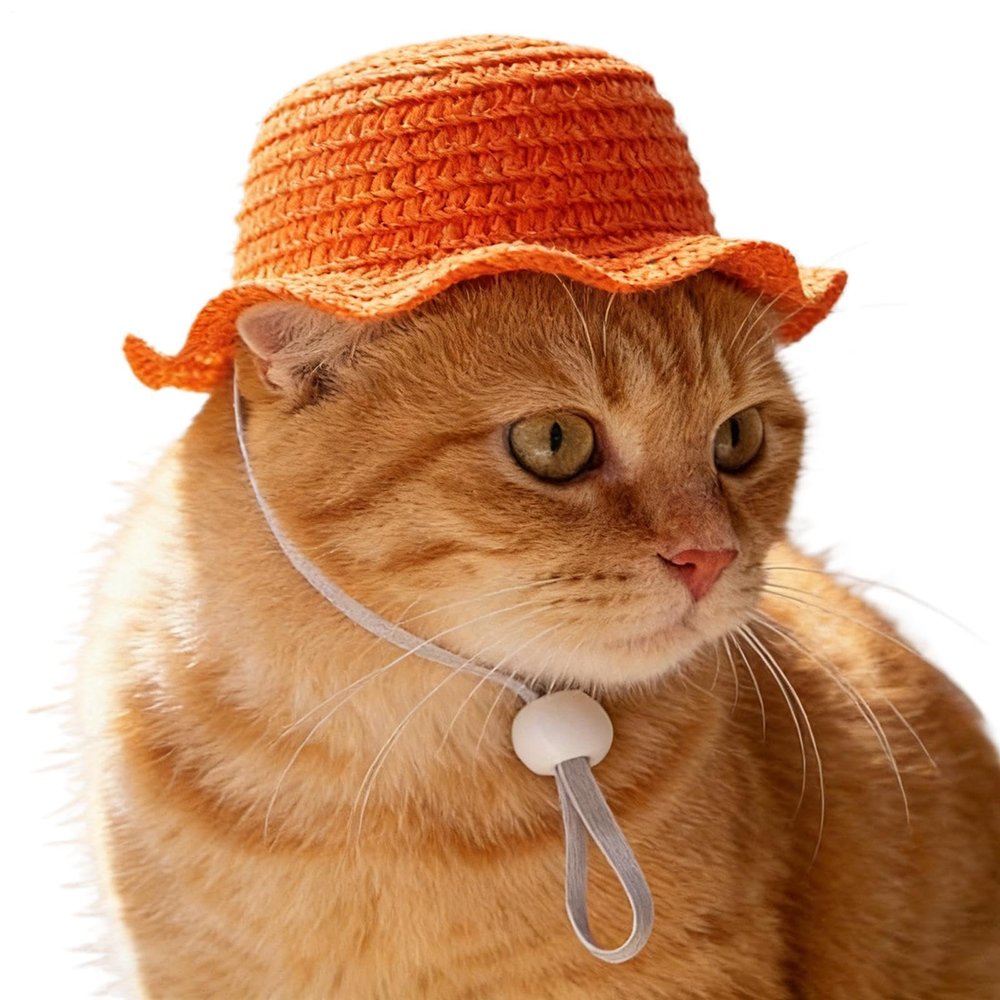 Straw Sun Hat for Pets