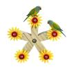 Wooden Bird Toy Spinning Wheel with Enrichment Function view 1