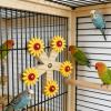 Wooden Bird Toy Spinning Wheel with Enrichment Function view 3