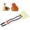 Cryfokt Reusable Waterproof Chicken Diaper view 4
