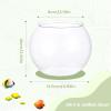 Fish Bowl Mini Aquarium view 2