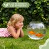 Fish Bowl Mini Aquarium view 3