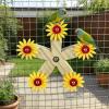 Budgie Toy - Rotating Wooden Training Wheel view 4