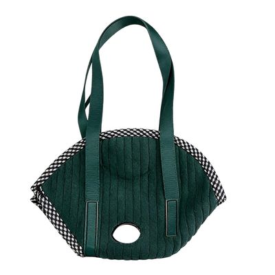 Travel Carrier for Parrots
