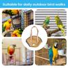 Travel Carrier for Parrots view 4