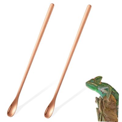 CVUTOVO Stainless Steel Feeding Scoop for Reptiles - 2 Pack