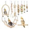 Wooden Conure Toy with Swing, Ladder, and Perch view 1