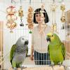 Wooden Conure Toy with Swing, Ladder, and Perch view 2