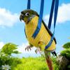 Bird Carrier Bag with Leak Protection view 3