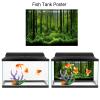 OVAQUIXI Aquarium Poster view 4