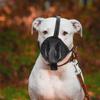 STOBAZA Soft Breathable Dog Muzzle view 4