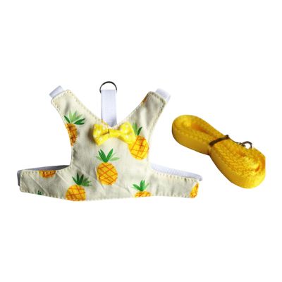 YIGZYCN Pet Harness with Fashionable Pattern