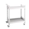 JKJZSALJ Multifunctional Storage Trolley, Mobile Rolling Cart for Medical Equipment and Beauty Salons, 54 x 37 x 90 cm view 1