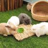Generic Rabbit Treat Ball 7.5 cm PVC view 3