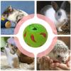 Generic Rabbit Treat Ball 7.5 cm PVC view 4
