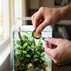NatureHolic Feeding Clip - Stainless Steel Aquarium Food Aid view 1
