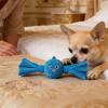 Ancsttu Squeaky Dog Toy view 2
