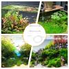 Floating Plant Corral for Aquarium view 4