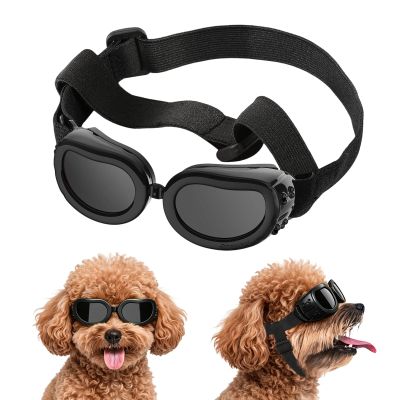 Sunglasses for Small Dogs