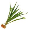 FELTECHELECTR Artificial Plant for Reptile Terrariums view 1
