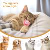 Cat Pacifier Soothing Nipple for Kittens, 4-Pack view 4