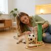 Wooden Interactive Vertical Cat Scratcher with Catnip Ball view 2