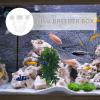 CHICAMPERA Fish Isolation Box view 4