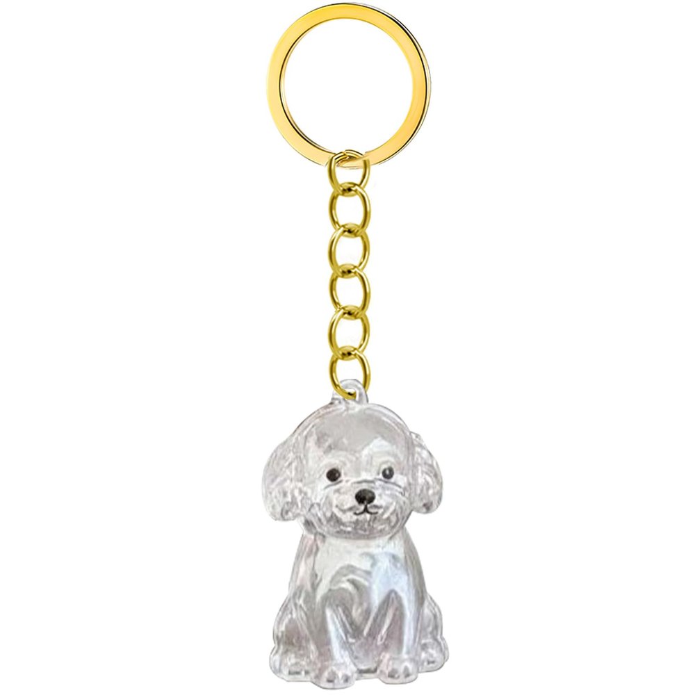 Bwuikim Pet Memorial Keychain