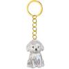 Bwuikim Pet Memorial Keychain view 1