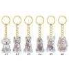 Bwuikim Pet Memorial Keychain view 3