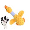 Durable Dog Chew Toy - Interactive Squeaky Bird Shape view 1