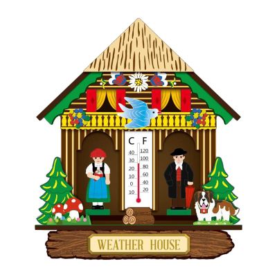 Colcolo Wall-Mounted Hanging Thermometer with Hygrometer